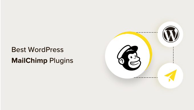 2024 年 17 个最佳 wordpress mailchimp 插件