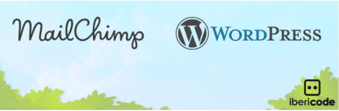 2024 年 17 个最佳 wordpress mailchimp 插件