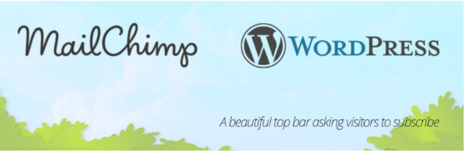 2024 年 17 个最佳 wordpress mailchimp 插件