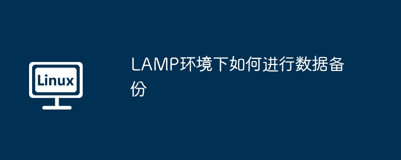 lamp环境下如何进行数据备份