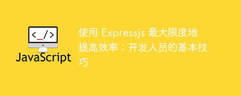 使用 expressjs 最大限度地提高效率：开发人员的基本技巧
