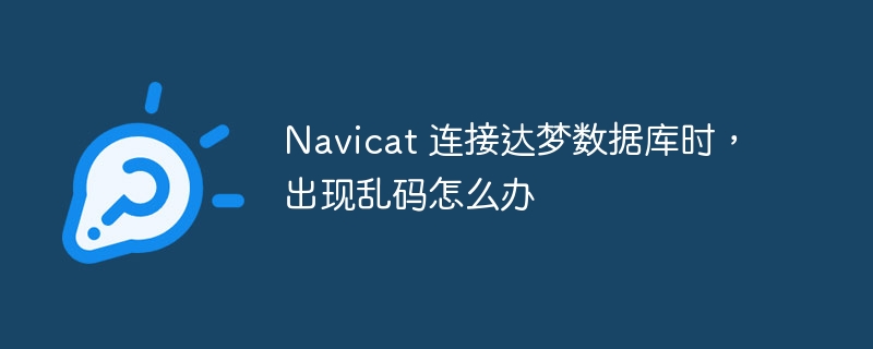 navicat 连接达梦数据库时，出现乱码怎么办