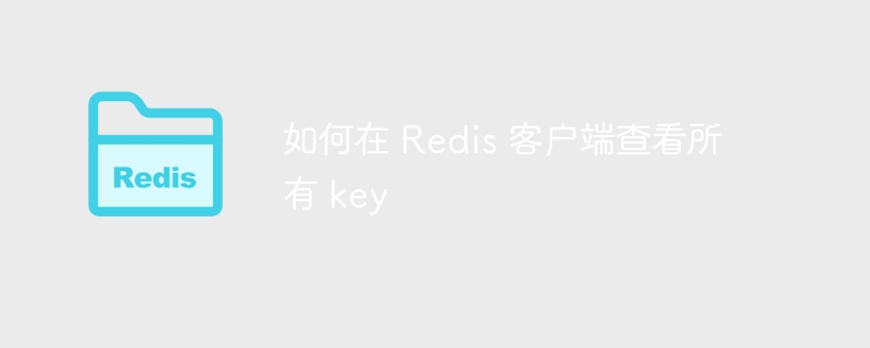如何在 redis 客户端查看所有 key