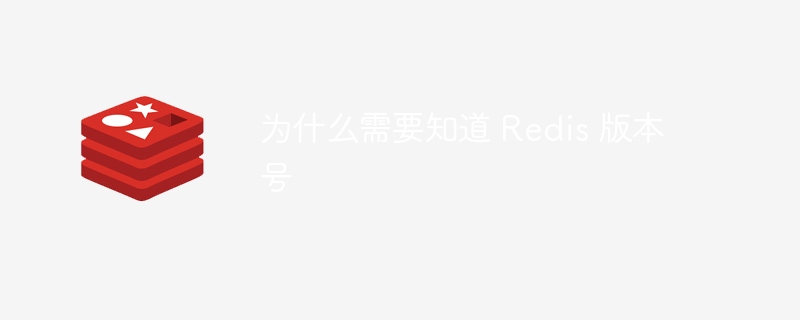 为什么需要知道 redis 版本号
