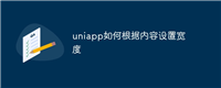 uniapp如何根据内容设置宽度