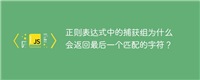 正则表达式中的捕获组为什么会返回最后一个匹配的字符?