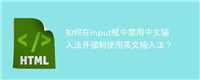 如何在input框中禁用中文输入法并强制使用英文输入法?
