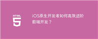 iOS原生开发者如何高效进阶前端开发?