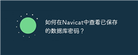 如何在Navicat中查看已保存的数据库密码？