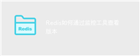 Redis如何通过监控工具查看版本