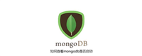 MongoDB索引优化策略,加速查询性能