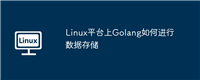 Linux平台上Golang如何进行数据存储