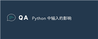 Python 中输入的影响