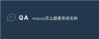 macos怎么查看系统名称
