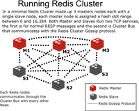 Redis 高可用性实践