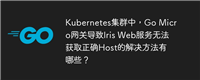Kubernetes集群中，Go Micro网关导致Iris Web服务无法获取正确Host的解决方法有哪些？