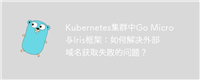 Kubernetes集群中Go Micro与Iris框架：如何解决外部域名获取失败的问题？