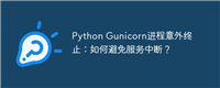 Python Gunicorn进程意外终止：如何避免服务中断？