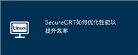 SecureCRT如何优化性能以提升效率