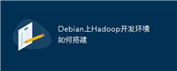 Debian上Hadoop开发环境如何搭建