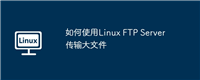 如何使用Linux FTP Server传输大文件