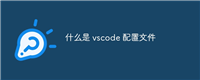 什么是 vscode 配置文件