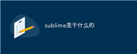 sublime是干什么的