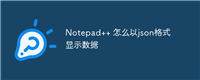 Notepad++ 怎么以json格式显示数据