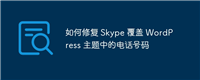 如何修复 Skype 覆盖 WordPress 主题中的电话号码
