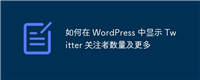 如何在 WordPress 中显示 Twitter 关注者数量及更多