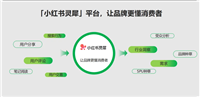 小红书灵犀全量开放中,科学营销时代真的要来了
