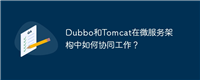Dubbo和Tomcat在微服务架构中如何协同工作?