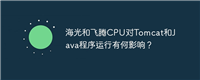 海光和飞腾CPU对Tomcat和Java程序运行有何影响?