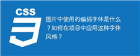 图片中使用的编码字体是什么?如何在项目中应用这种字体风格?