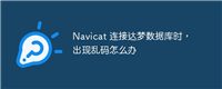 Navicat 连接达梦数据库时,出现乱码怎么办