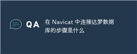 在 Navicat 中连接达梦数据库的步骤是什么