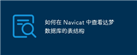 如何在 Navicat 中查看达梦数据库的表结构