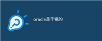 oracle是干嘛的