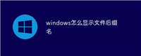 windows怎么显示文件后缀名