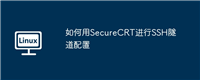 如何用SecureCRT进行SSH隧道配置