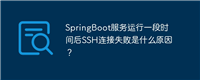SpringBoot服务运行一段时间后SSH连接失败是什么原因?