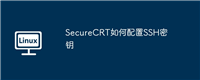 SecureCRT如何配置SSH密钥