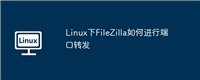 Linux下FileZilla如何进行端口转发