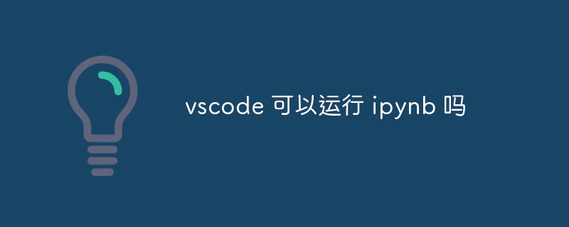 vscode 可以运行 ipynb 吗