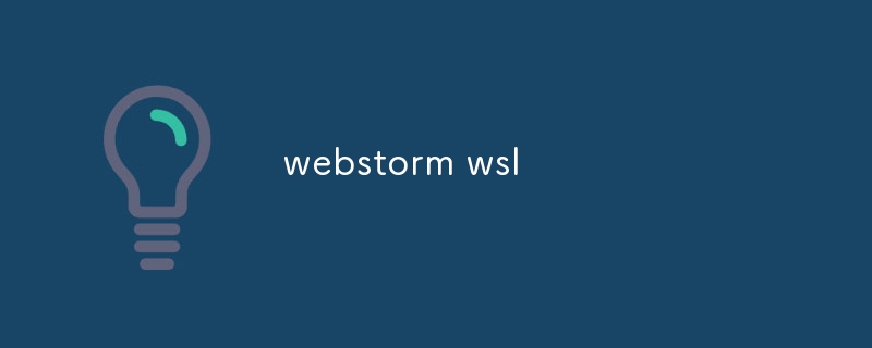 webstorm wsl