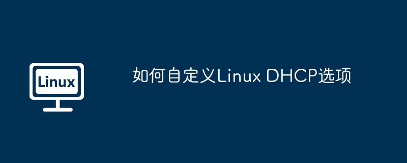 如何自定义linux dhcp选项