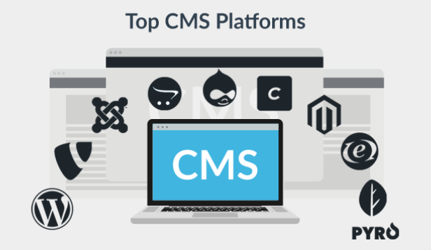 2025 年最适合开发人员的 10 个 php cms 平台