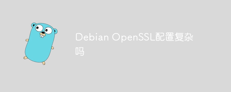 debian openssl配置复杂吗