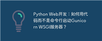 Python Web开发：如何用代码而不是命令行启动Gunicorn WSGI服务器？