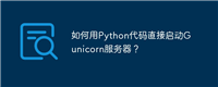 如何用Python代码直接启动Gunicorn服务器？